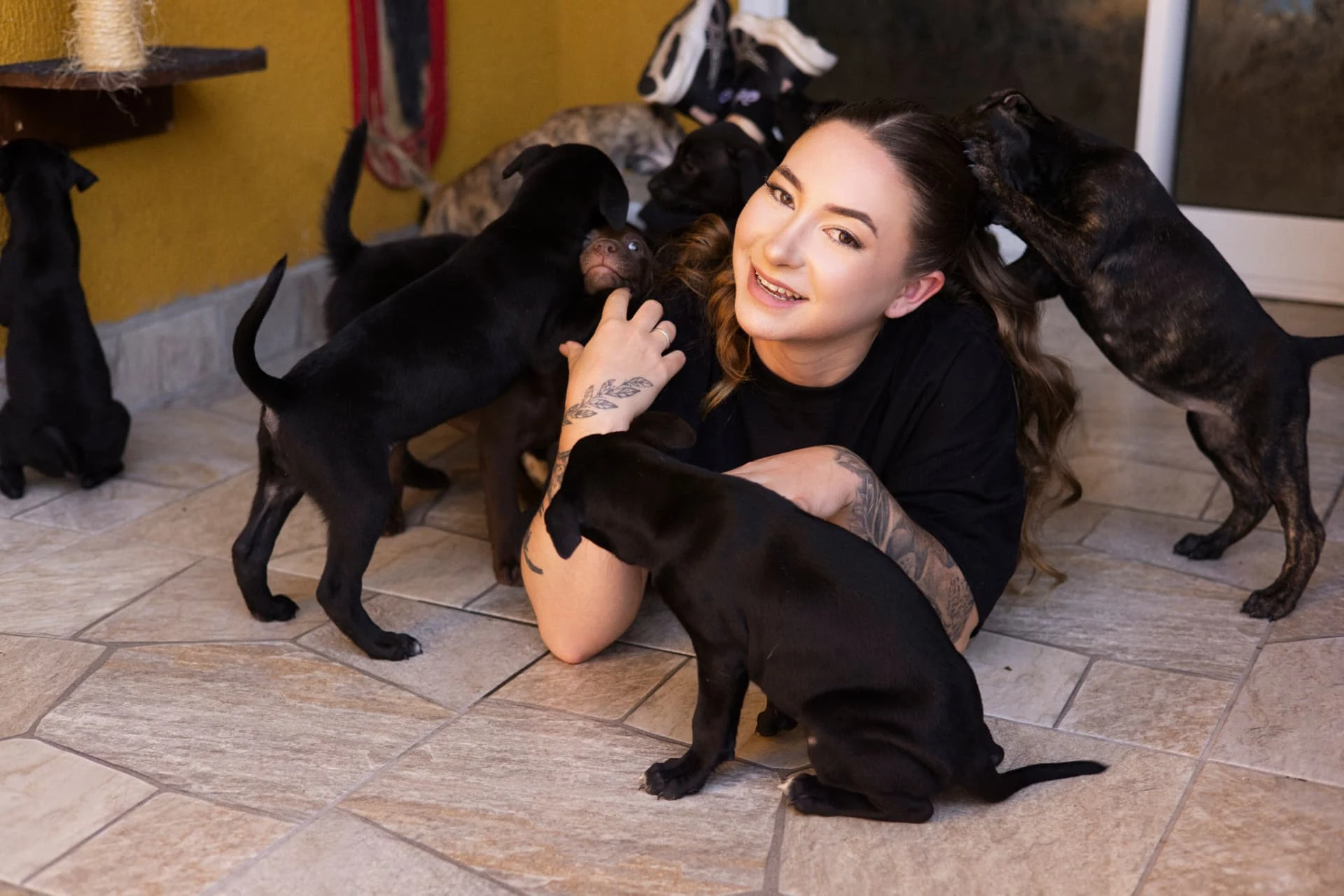 Letícia Fernandes com vários cães
